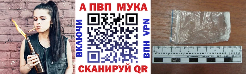 APVP СК КРИС  Курчалой 