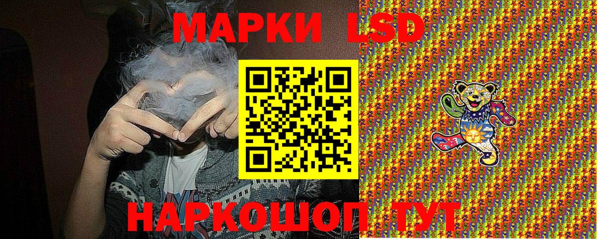 Наркотические марки 1,5мг  цены наркотик  Курчалой  Вход с VPN 