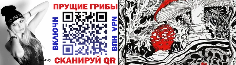 Галлюциногенные грибы прущие грибы  Курчалой 